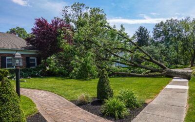 It’s Tornado Season Again