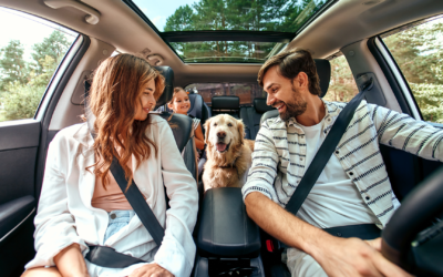 Summer Fun and Insurance